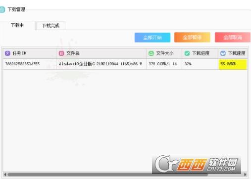 AntDM,蚂蚁下载器,下载工具.