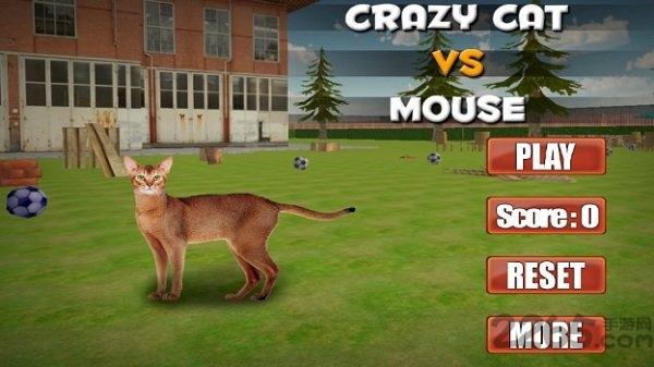 疯狂的猫与老鼠手游下载,疯狂的猫与老鼠,3d游戏,动物模拟游戏